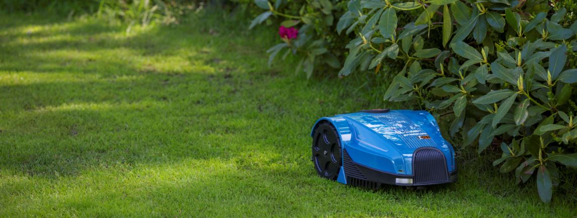 robotas pjauna veja